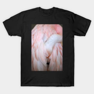 Flamingo #4 T-Shirt